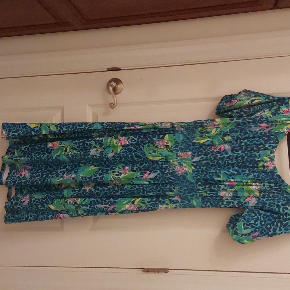 NWT Lilly Pulitzer Camille Knee Length Dress size L - Picture 2 of 3